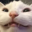 YUMUSAKG