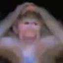 e1