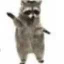 racon