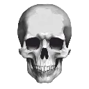 skull