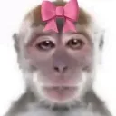 monkewithbow