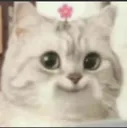 ketke_vesika