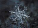 snowflakeanimatedgif1