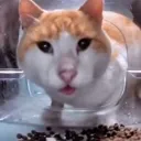 wha