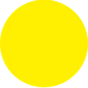 r_sari2