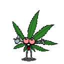 Weed