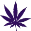 pur_weed