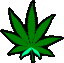 weed_highlight86