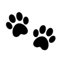 cmnpati