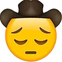 vln_emoji_uzgun