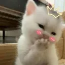 ihiihiihi