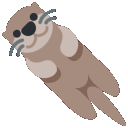 distotter_owo