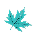 turkuaz_OwO