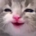 mutlukurtler