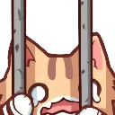 jailkedy
