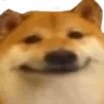 smiledog