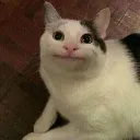 __