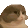 val_CatNum