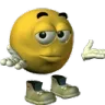 sehir_shrug