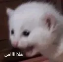cldrd