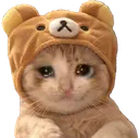 5188cesadbear