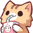 cutecat