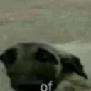 of