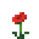 3381flowerpoppy