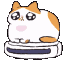 catroombaexceptionallyfast