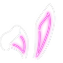 d_skunt58