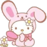 2rabbithk