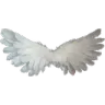 10wings