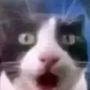 oha