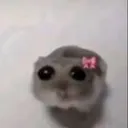 uzgunhamster