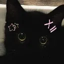 neko