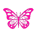 00385478_512
