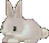 0bunny