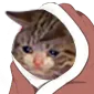 uzgnkedyy