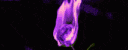 emoji_10