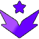 seniordirector