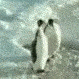 kaybol