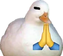 dua