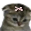 kedycik