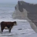 depresifinek