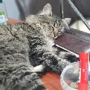 uykucukedy