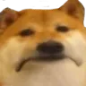 saddoge