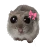 couplekedi