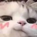 ehehehe