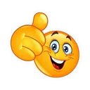 sari_ok