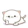 bakiyorum